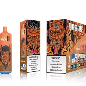 Bang Box 12000 Puffs 0% 2% 3% 5% Nikotino įkraunamas vienkartinis Vape Didmeninė prekyba – RiftVape – 16