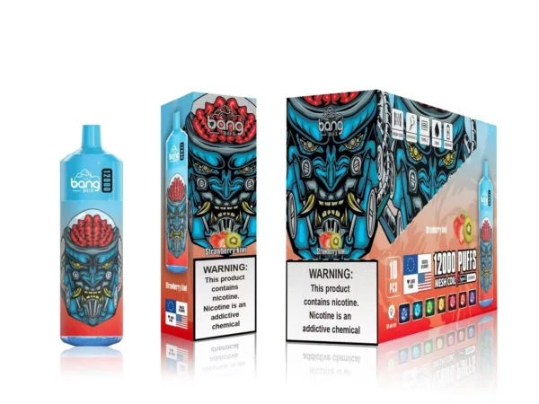Bang Box 12000 Puffs 0% 2% 3% 5% Nikotino įkraunamas vienkartinis Vape Didmeninė prekyba – RiftVape – 7