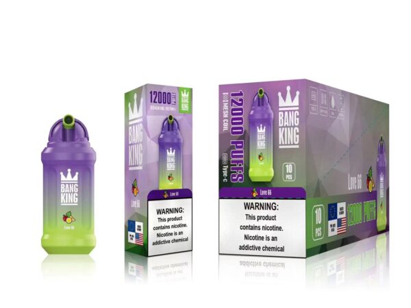 Bang King 12000 Puffs 0% 2% 3% 5% Vente en gros de vape jetable rechargeable à la nicotine - RiftVape - 12