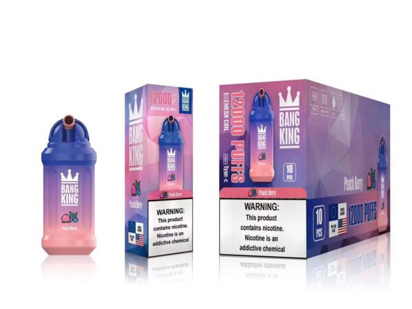Bang King 12000 Puffs 0% 2% 3% 5% Vente en gros de vape jetable rechargeable à la nicotine - RiftVape - 14