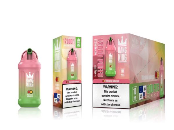 Bang King 12000 Puffs 0% 2% 3% 5% Vente en gros de vape jetable rechargeable à la nicotine - RiftVape - 19